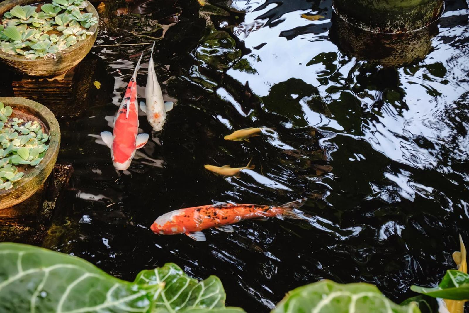 Hotel Calma Coliving At Bintaro, Tangerang Selatan